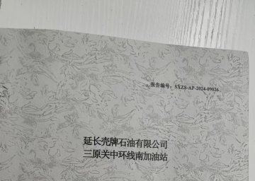延长壳牌石油有限公司三原关中环线南加油站安全现状评价报告