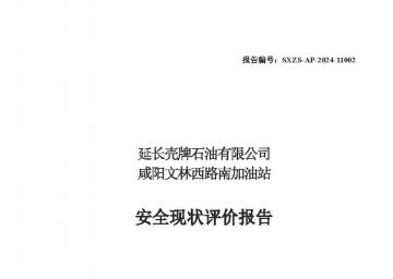 延长壳牌石油有限公司咸阳文林西路南加油站安全现状评价报告